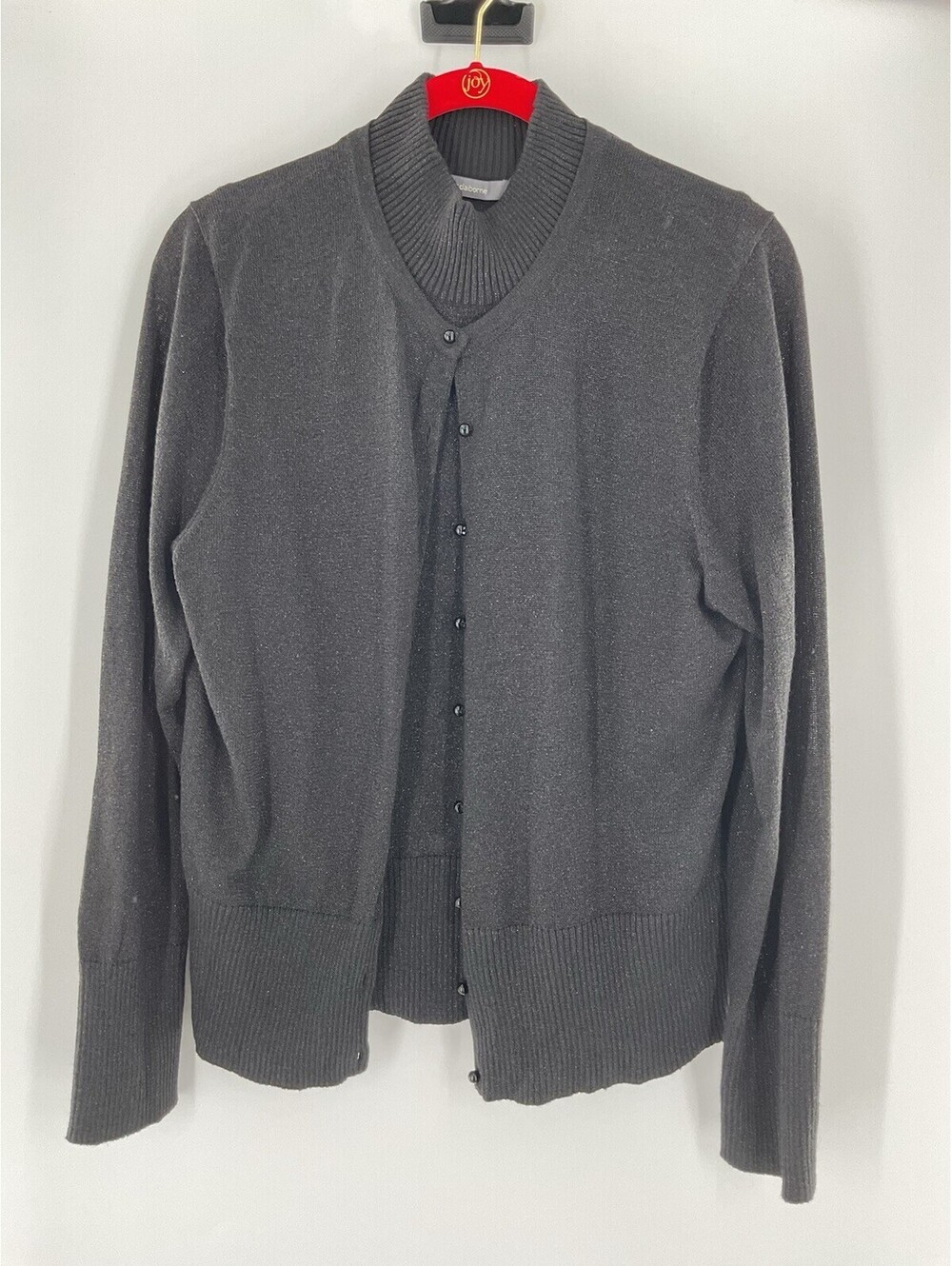 Liz Claiborne Women’s Two-Piece Blouse Set Sparkly XL Turtleneck 102